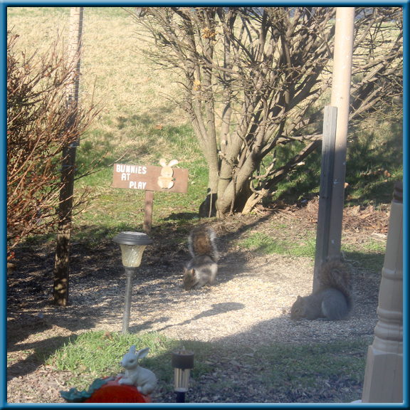 camera image camera picture