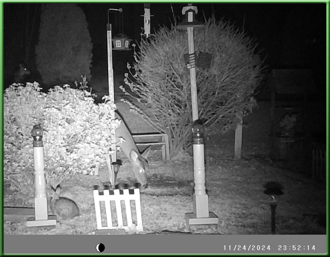 still image